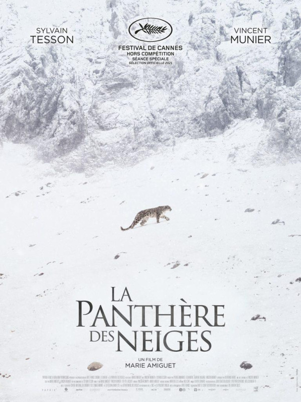 La Panthère des neiges La Panthère des neiges