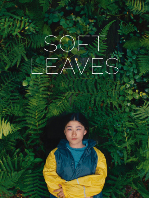 Soft Leaves Soft Leaves