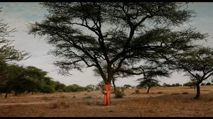 The Forest Maker, Volker Schlöndorff, Niger, Desert, Ecologie, Climat